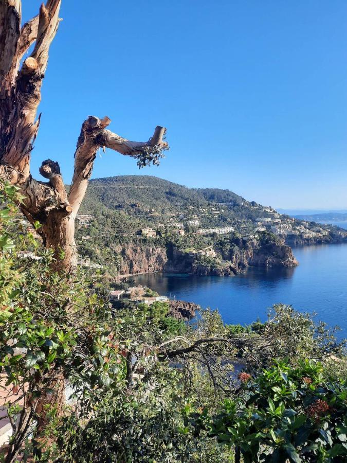 Magic Mer Saint-Raphaël エクステリア 写真